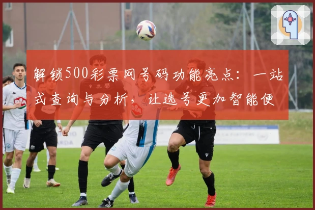 解锁500彩票网号码功能亮点：一站式查询与分析，让选号更加智能便捷