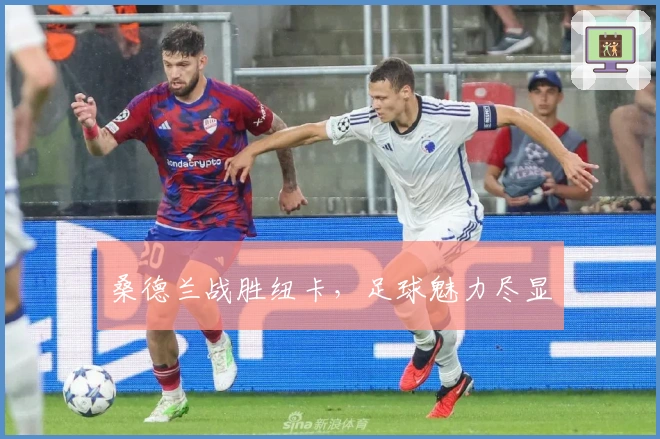 桑德兰战胜纽卡，足球魅力尽显