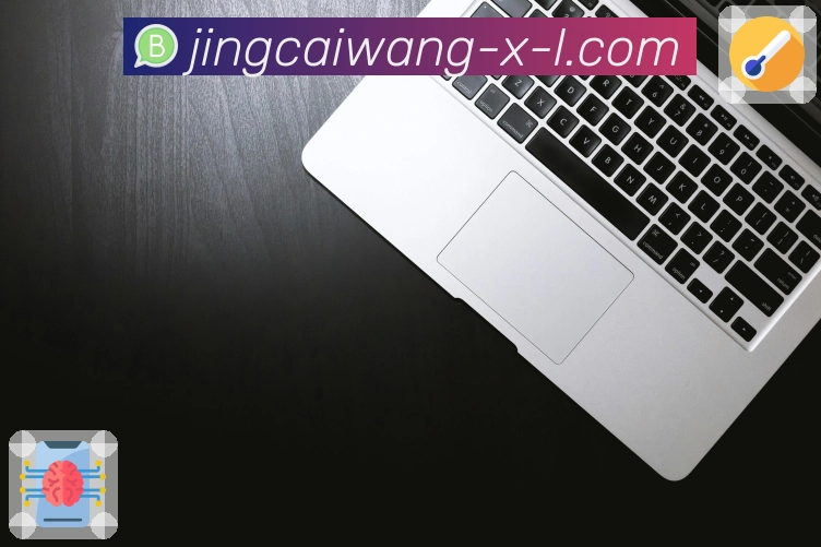 荣耀之路 见证发展